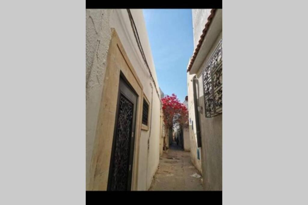 Dar El Halfaouine Apartment Tunis Luaran gambar